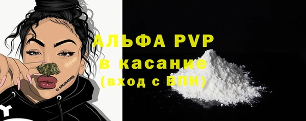 ПСИЛОЦИБИНОВЫЕ ГРИБЫ Иннополис