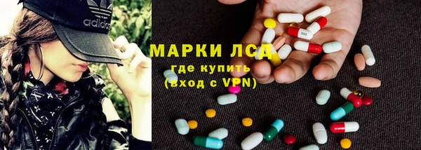 ПСИЛОЦИБИНОВЫЕ ГРИБЫ Иннополис