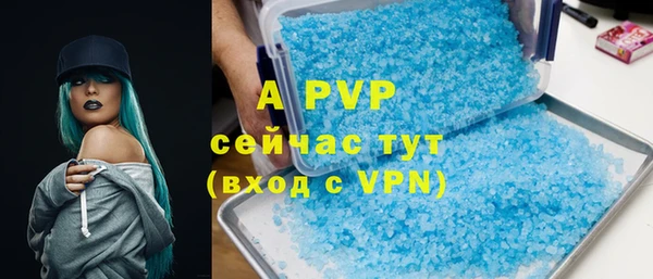 ПСИЛОЦИБИНОВЫЕ ГРИБЫ Иннополис