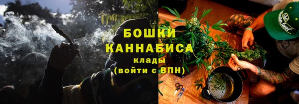 ПСИЛОЦИБИНОВЫЕ ГРИБЫ Иннополис