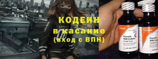 ПСИЛОЦИБИНОВЫЕ ГРИБЫ Иннополис