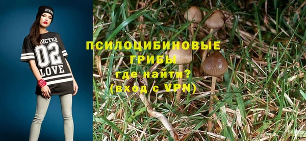 скорость Инсар